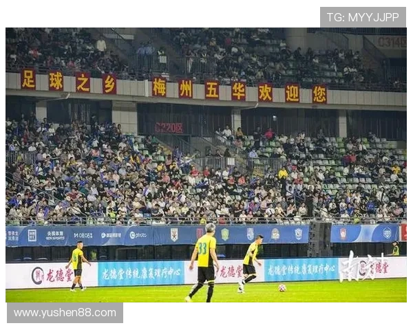 校园足球明星展示牌展现青春活力与团队精神的魅力之旅